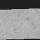 Illustration for article titled NASA’s New Photos Bring Pluto’s Surface Into Sharp Focus